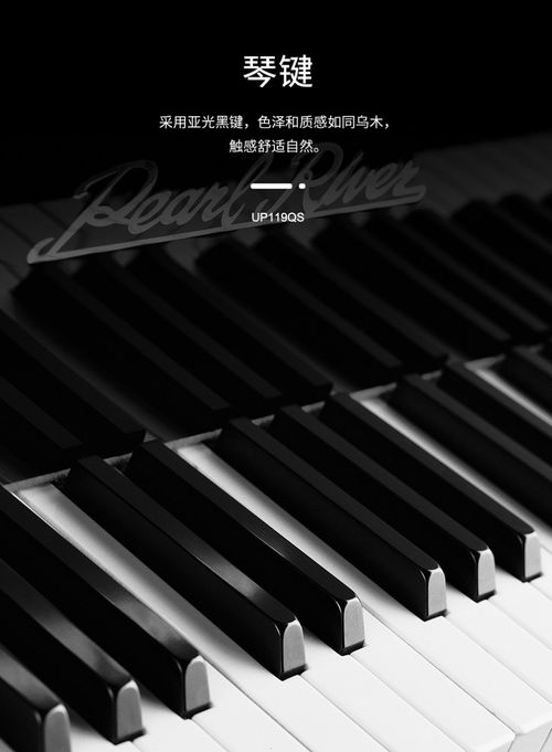 泰安珠江鋼琴 愷撒堡鋼琴 里特米勒鋼琴 國(guó)產(chǎn)鋼琴